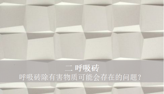 呼吸磚除有害物質可能會存在的問題？
