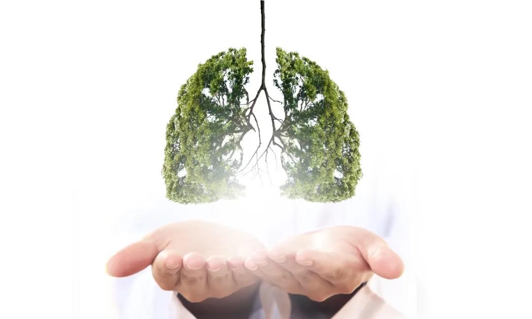 拿到第三方出的室內(nèi)空氣檢測報(bào)告后我們該怎么處理？